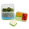 Rubbermaid 1806179 Salad Kit Lunch Blox