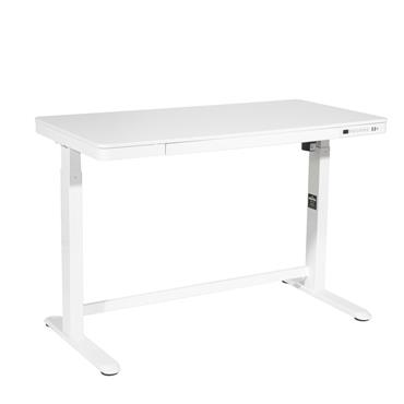 DELLONDA DH54 Electric Height Adjustable Desk