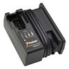 Paslode 018882 240 Volt Lithium-Ion Battery Fast Charger with AC/DC Adaptor