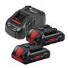 BOSCH 0615990N2E 2 x 4Ah Procore Batteries and GAL 1880 Charger