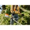 FSA 80 Cordless Brushcutter – AK System