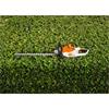 Stihl HSA 50 Cordless Hedge Trimmer - AK System