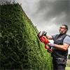 Milwaukee M18 FHET60G2-802 FUEL 60cm Hedge Trimmer, 2 x 8.0Ah Forge Batteries