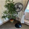 SIP 05633 18" Oscillating Pedestal Fan