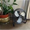 SIP 05632 16" Heavy-Duty Floor Fan