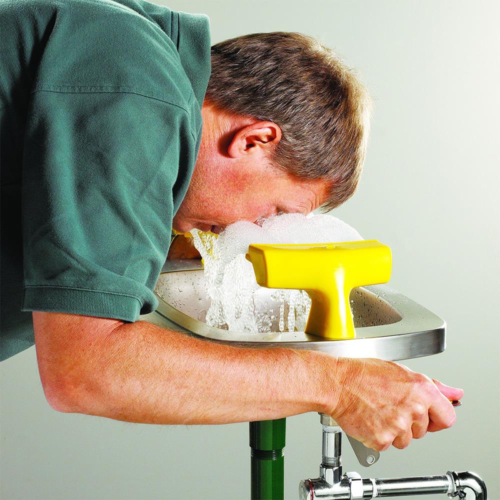 Speakman SE400 Wall Mounted Eye/Face Wash Bowl available online