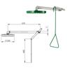 ECOSAFE DS24 Wall Mounted Safety Shower